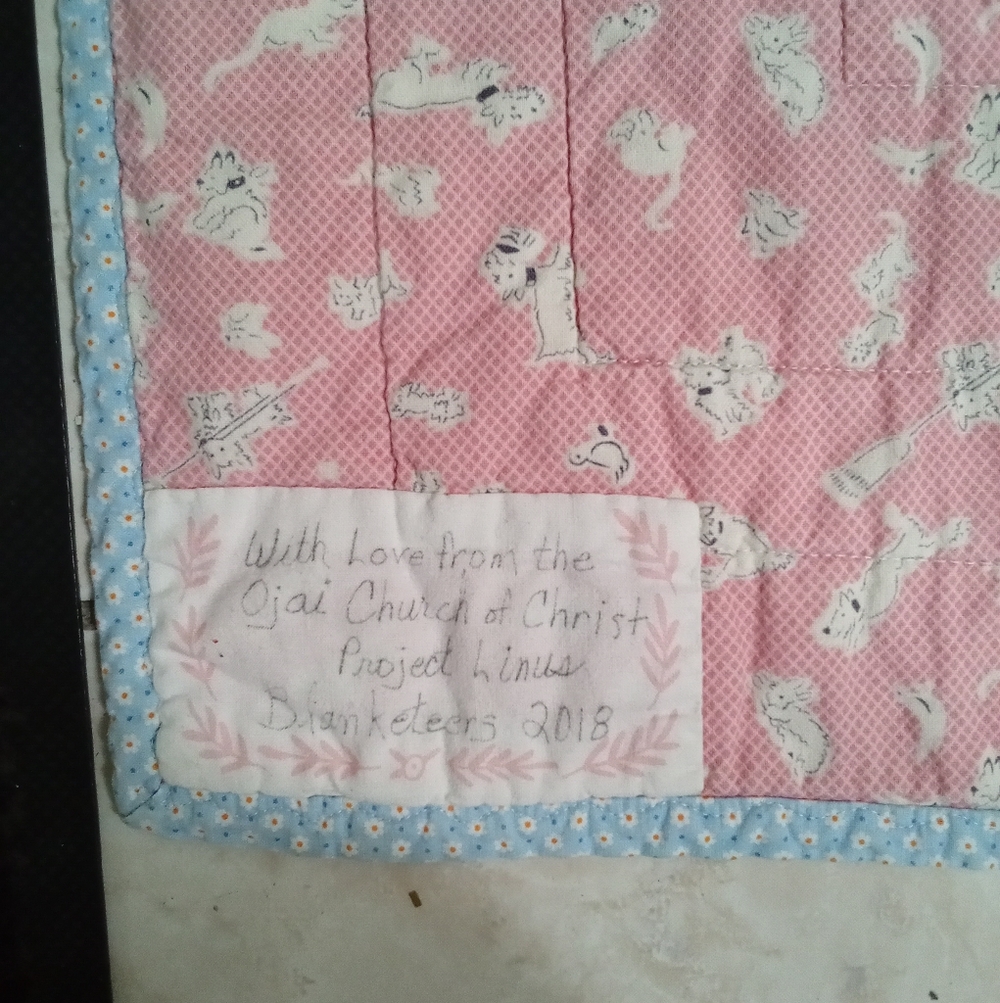 Pink and Blue Cat Print Quilt